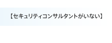 セキュリティコンサルタントがいない