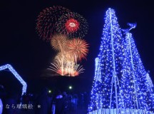 春日野園地からの花火